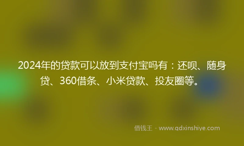 2024年的贷款可以放到支付宝吗有：还呗、随身贷、360借条、小米贷款、投友圈等。