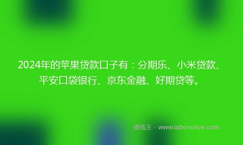 2024年的苹果贷款口子有：分期乐、小米贷款、平安口袋银行、京东金融、好期贷等。