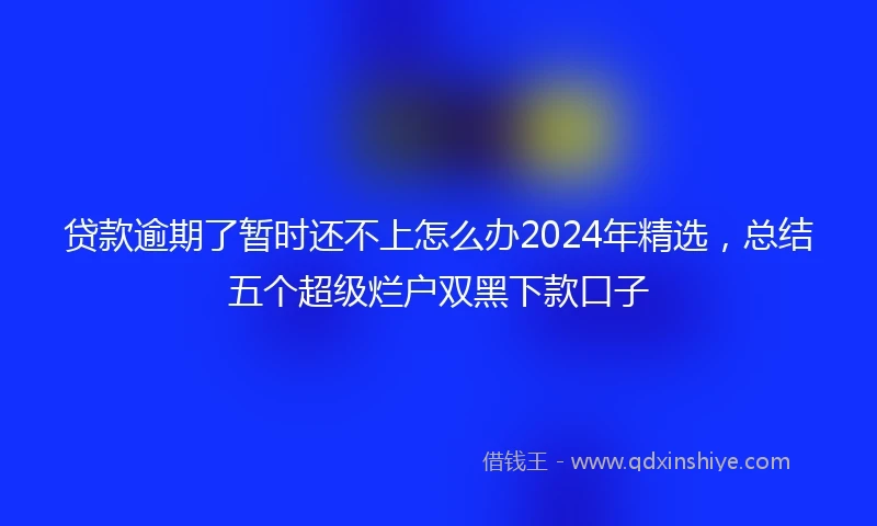 贷款逾期了暂时还不上怎么办2024年精选，总结五个超级烂户双黑下款口子