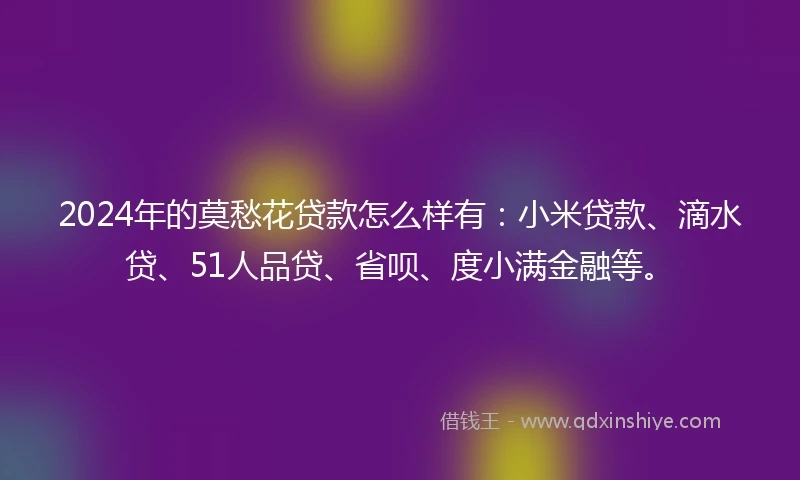2024年的莫愁花贷款怎么样有：小米贷款、滴水贷、51人品贷、省呗、度小满金融等。