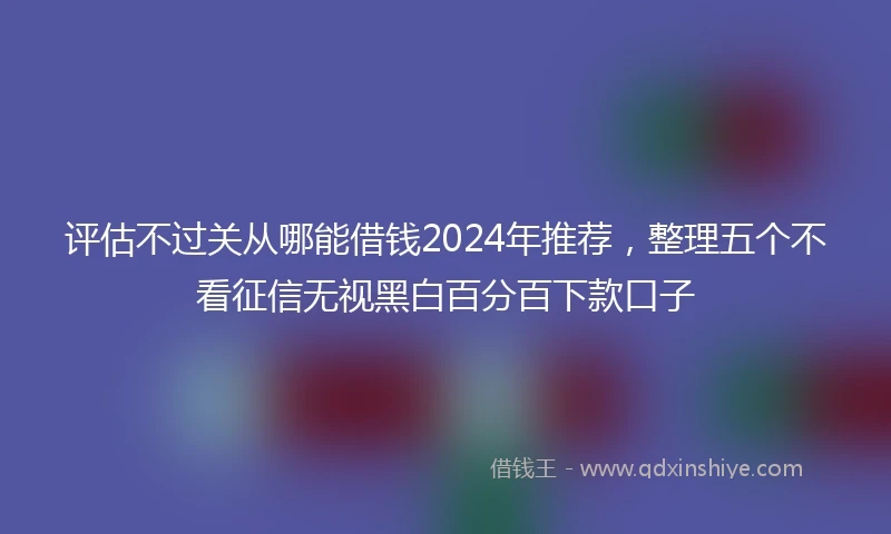 评估不过关从哪能借钱2024年推荐，整理五个不看征信无视黑白百分百下款口子