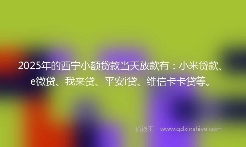 2025年的西宁小额贷款当天放款有：小米贷款、e微贷、我来贷、平安i贷、维信卡卡贷等。
