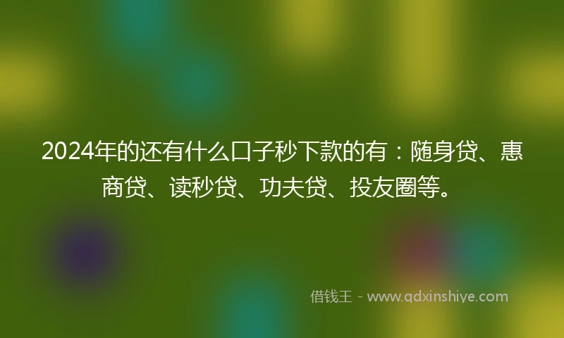 2024年的还有什么口子秒下款的有：随身贷、惠商贷、读秒贷、功夫贷、投友圈等。