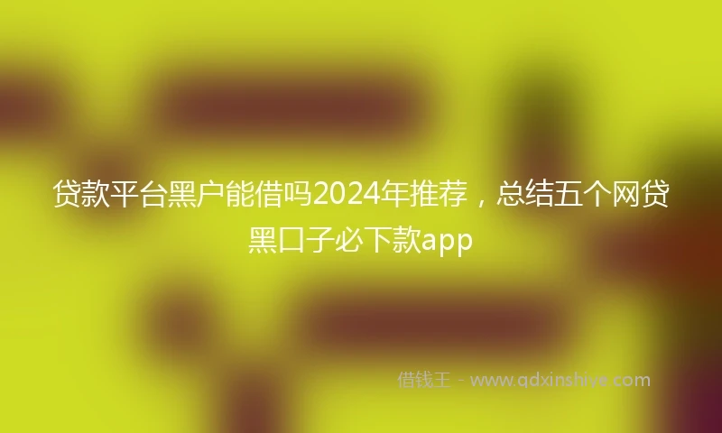 贷款平台黑户能借吗2024年推荐，总结五个网贷黑口子必下款app