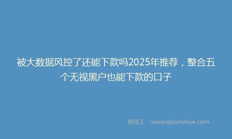 被大数据风控了还能下款吗2025年推荐，整合五个无视黑户也能下款的口子