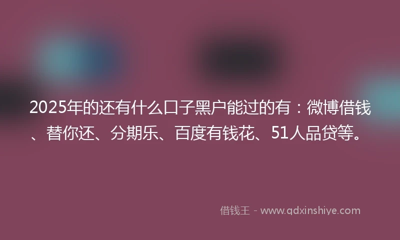 2025年的还有什么口子黑户能过的有：微博借钱、替你还、分期乐、百度有钱花、51人品贷等。
