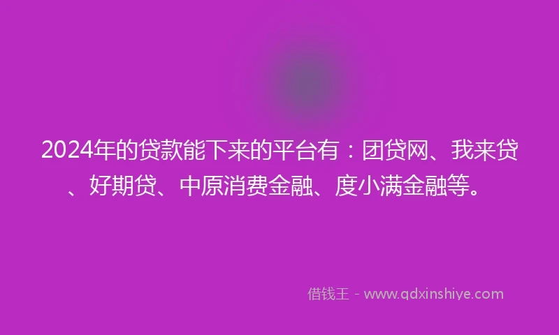 2024年的贷款能下来的平台有：团贷网、我来贷、好期贷、中原消费金融、度小满金融等。