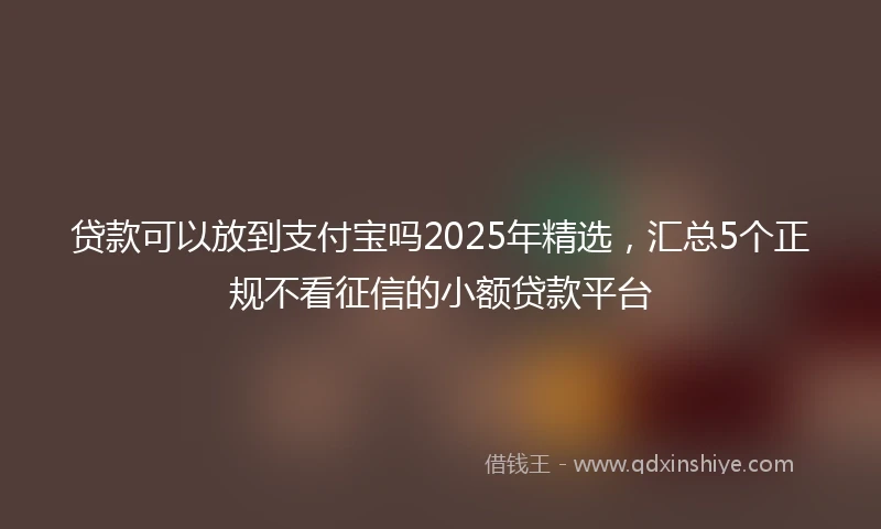 贷款可以放到支付宝吗2025年精选，汇总5个正规不看征信的小额贷款平台