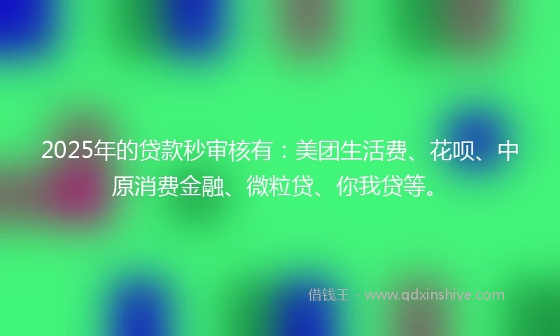 2025年的贷款秒审核有：美团生活费、花呗、中原消费金融、微粒贷、你我贷等。