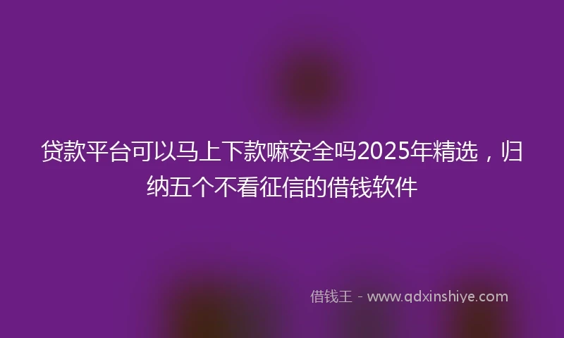 贷款平台可以马上下款嘛安全吗2025年精选，归纳五个不看征信的借钱软件