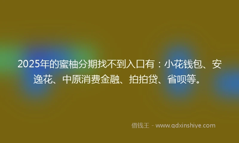 2025年的蜜柚分期找不到入口有：小花钱包、安逸花、中原消费金融、拍拍贷、省呗等。