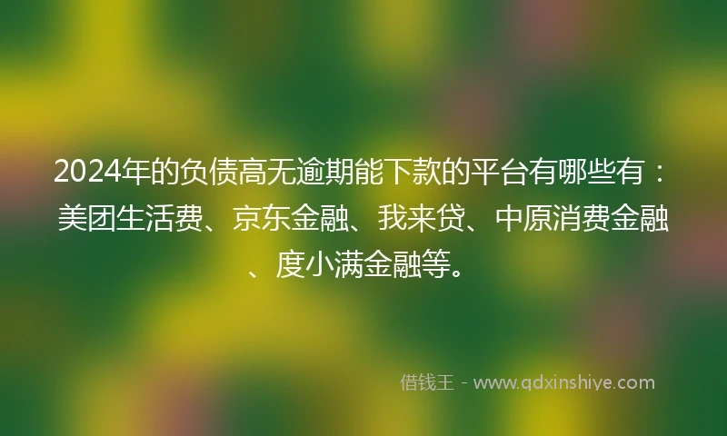2024年的负债高无逾期能下款的平台有哪些有：美团生活费、京东金融、我来贷、中原消费金融、度小满金融等。