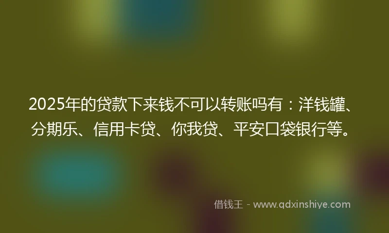 2025年的贷款下来钱不可以转账吗有：洋钱罐、分期乐、信用卡贷、你我贷、平安口袋银行等。