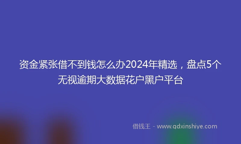 资金紧张借不到钱怎么办2024年精选，盘点5个无视逾期大数据花户黑户平台