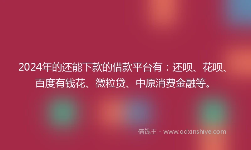 2024年的还能下款的借款平台有：还呗、花呗、百度有钱花、微粒贷、中原消费金融等。