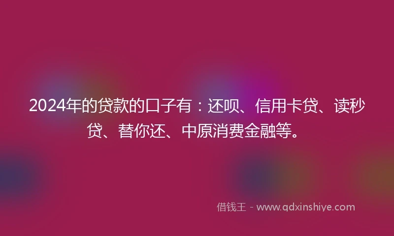 2024年的贷款的口子有：还呗、信用卡贷、读秒贷、替你还、中原消费金融等。