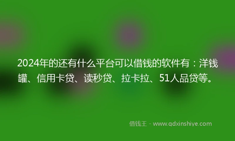 2024年的还有什么平台可以借钱的软件有：洋钱罐、信用卡贷、读秒贷、拉卡拉、51人品贷等。