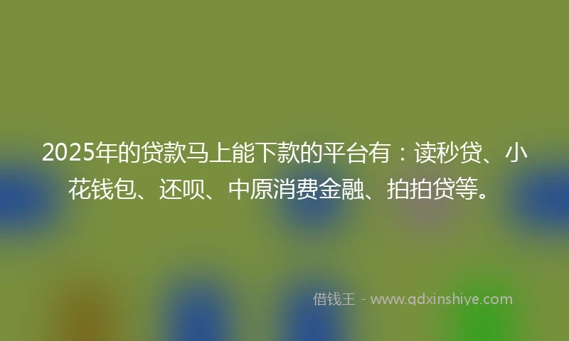 2025年的贷款马上能下款的平台有：读秒贷、小花钱包、还呗、中原消费金融、拍拍贷等。