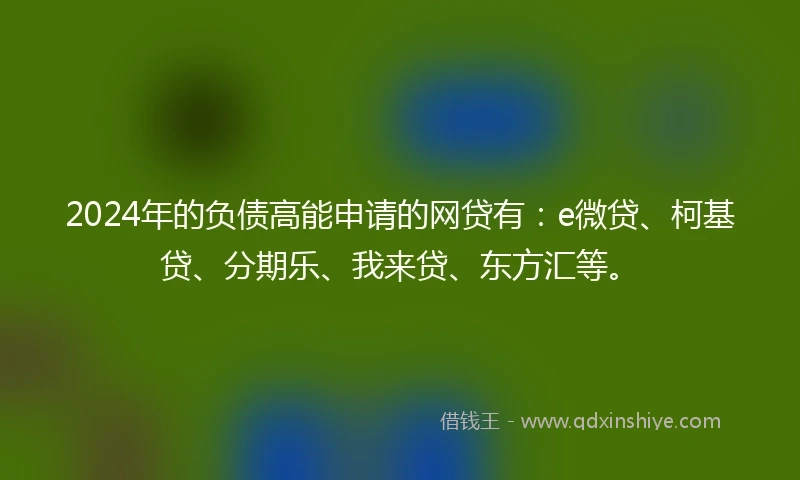 2024年的负债高能申请的网贷有：e微贷、柯基贷、分期乐、我来贷、东方汇等。