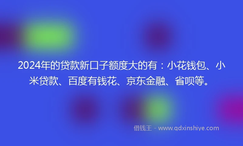 2024年的贷款新口子额度大的有：小花钱包、小米贷款、百度有钱花、京东金融、省呗等。