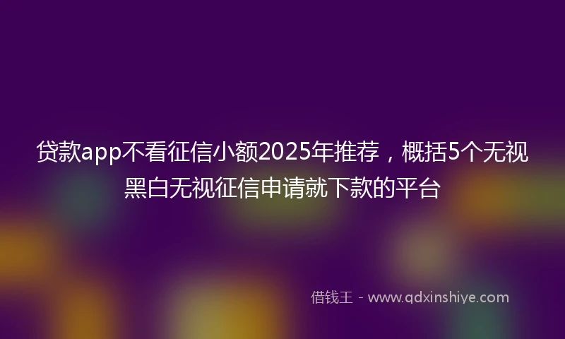 贷款app不看征信小额2025年推荐，概括5个无视黑白无视征信申请就下款的平台