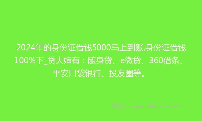 2024年的身份证借钱5000马上到账,身份证借钱100%下_贷大婶有：随身贷、e微贷、360借条、平安口袋银行、投友圈等。