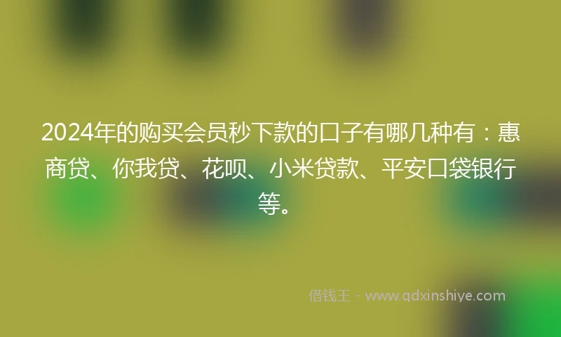2024年的购买会员秒下款的口子有哪几种有：惠商贷、你我贷、花呗、小米贷款、平安口袋银行等。