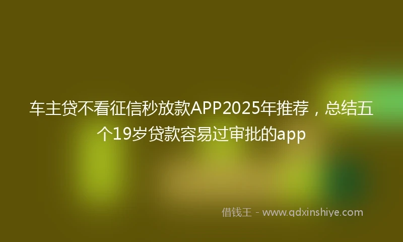 车主贷不看征信秒放款APP2025年推荐，总结五个19岁贷款容易过审批的app