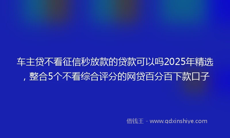 车主贷不看征信秒放款的贷款可以吗2025年精选，整合5个不看综合评分的网贷百分百下款口子
