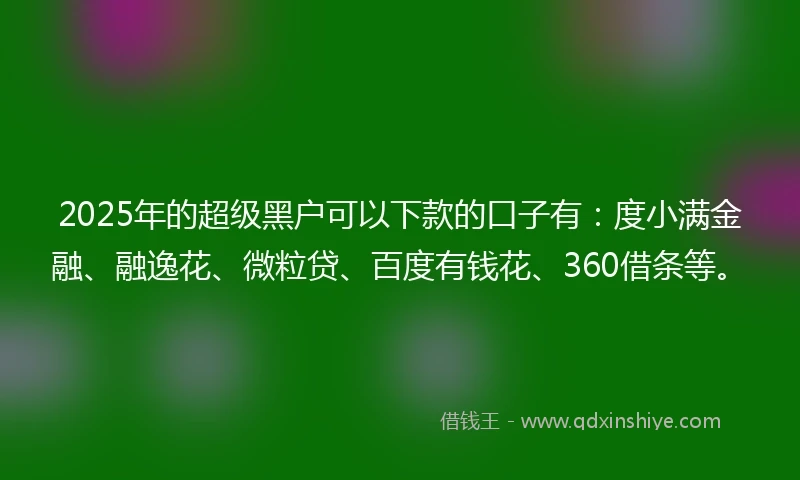 2025年的超级黑户可以下款的口子有：度小满金融、融逸花、微粒贷、百度有钱花、360借条等。