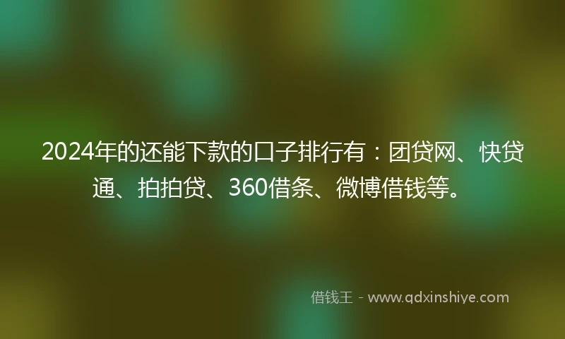 2024年的还能下款的口子排行有：团贷网、快贷通、拍拍贷、360借条、微博借钱等。