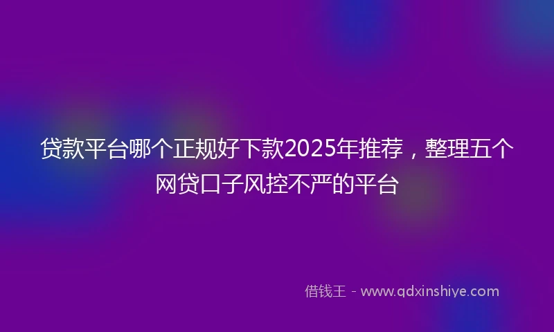 贷款平台哪个正规好下款2025年推荐，整理五个网贷口子风控不严的平台