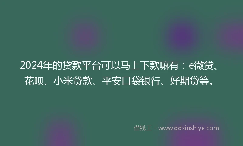 2024年的贷款平台可以马上下款嘛有：e微贷、花呗、小米贷款、平安口袋银行、好期贷等。