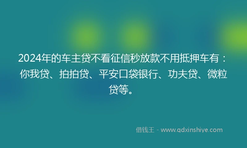 2024年的车主贷不看征信秒放款不用抵押车有：你我贷、拍拍贷、平安口袋银行、功夫贷、微粒贷等。
