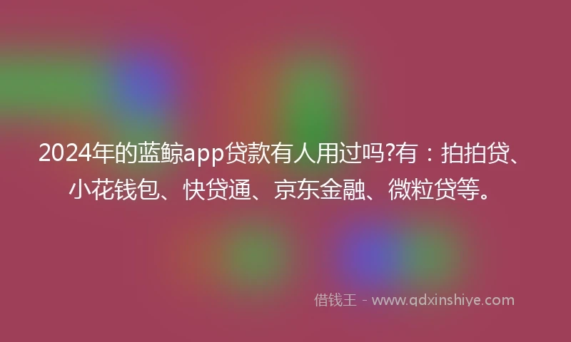 2024年的蓝鲸app贷款有人用过吗?有：拍拍贷、小花钱包、快贷通、京东金融、微粒贷等。