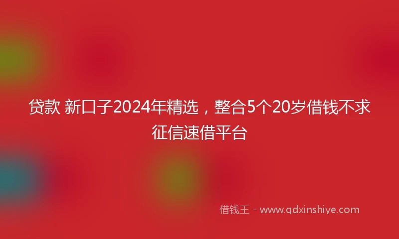 贷款 新口子2024年精选，整合5个20岁借钱不求征信速借平台