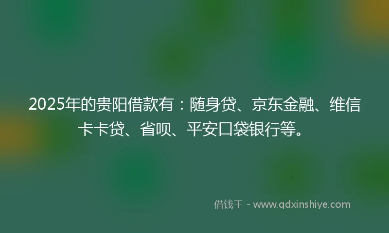 2025年的贵阳借款有：随身贷、京东金融、维信卡卡贷、省呗、平安口袋银行等。