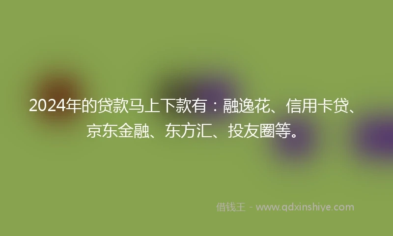 2024年的贷款马上下款有：融逸花、信用卡贷、京东金融、东方汇、投友圈等。