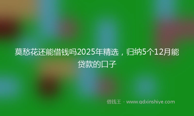 莫愁花还能借钱吗2025年精选，归纳5个12月能贷款的口子