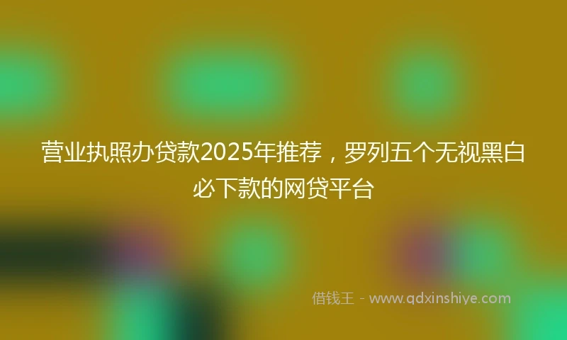 营业执照办贷款2025年推荐，罗列五个无视黑白必下款的网贷平台