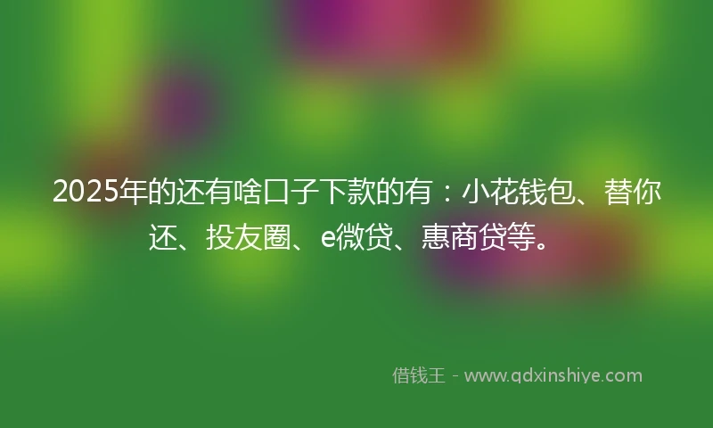 2025年的还有啥口子下款的有：小花钱包、替你还、投友圈、e微贷、惠商贷等。