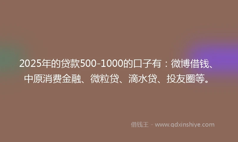 2025年的贷款500-1000的口子有：微博借钱、中原消费金融、微粒贷、滴水贷、投友圈等。