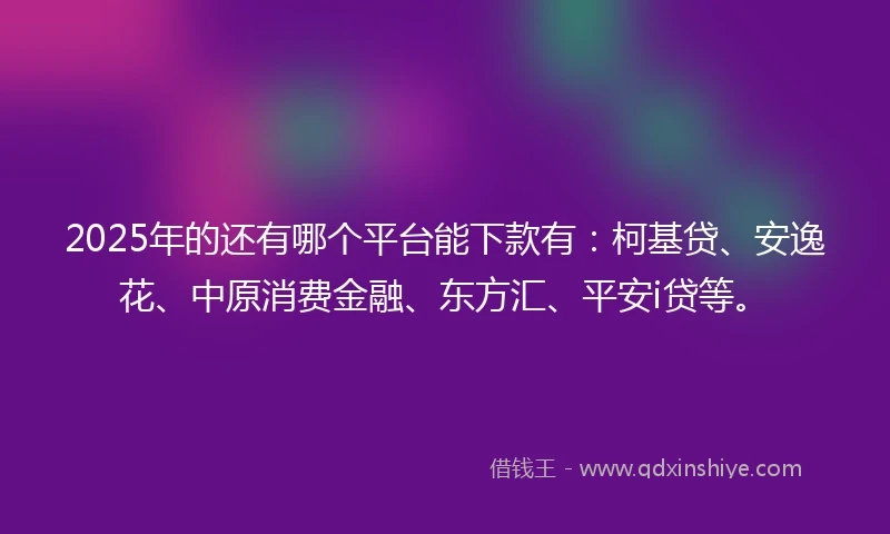 2025年的还有哪个平台能下款有：柯基贷、安逸花、中原消费金融、东方汇、平安i贷等。