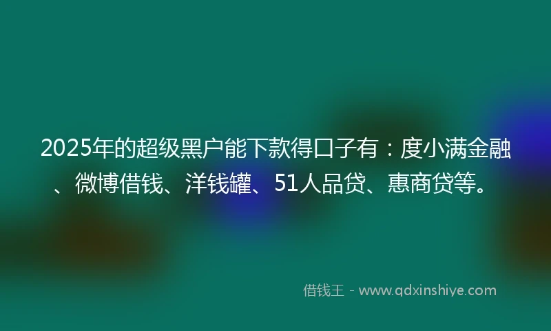 2025年的超级黑户能下款得口子有：度小满金融、微博借钱、洋钱罐、51人品贷、惠商贷等。