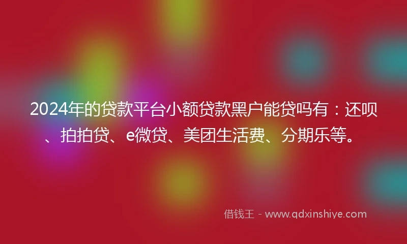 2024年的贷款平台小额贷款黑户能贷吗有：还呗、拍拍贷、e微贷、美团生活费、分期乐等。