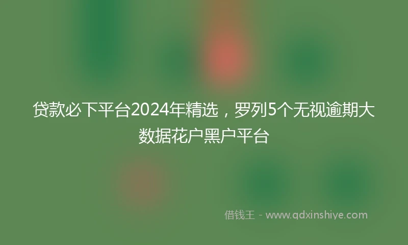 贷款必下平台2024年精选，罗列5个无视逾期大数据花户黑户平台