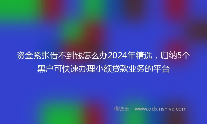 资金紧张借不到钱怎么办2024年精选，归纳5个黑户可快速办理小额贷款业务的平台