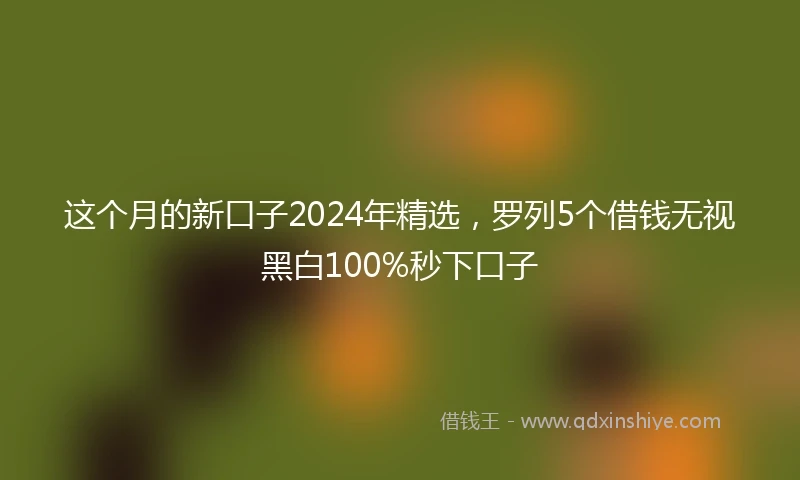 这个月的新口子2024年精选，罗列5个借钱无视黑白100%秒下口子