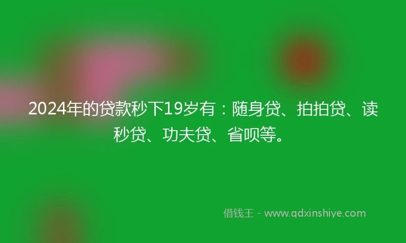 2024年的贷款秒下19岁有：随身贷、拍拍贷、读秒贷、功夫贷、省呗等。