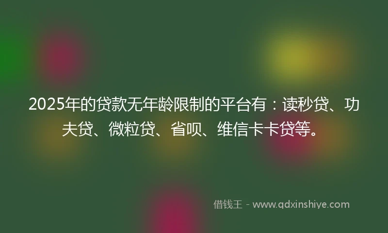 2025年的贷款无年龄限制的平台有：读秒贷、功夫贷、微粒贷、省呗、维信卡卡贷等。